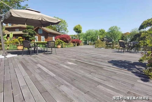 嘉善 售樓處電話 地址位置 24小時(shí)官方網(wǎng)站